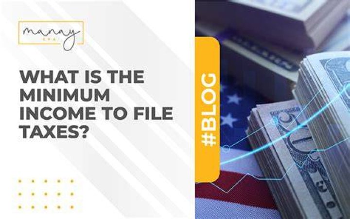 What is the minimum income to pay taxes?