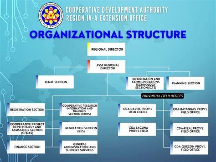 What is the most common business organization in the Philippines?