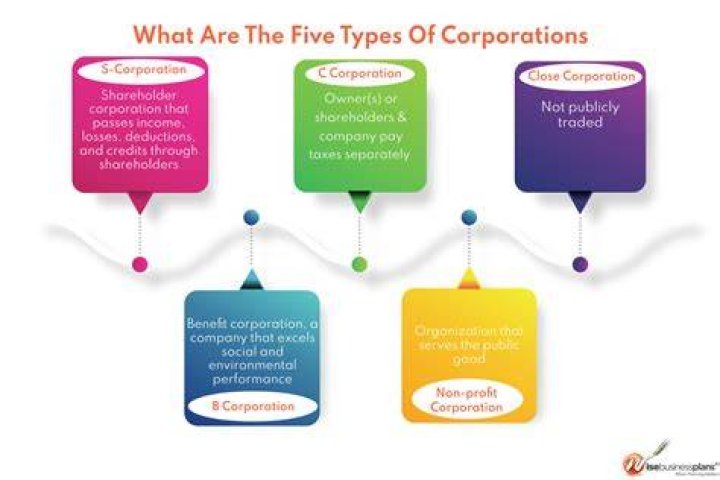 What is the most common corporation type?