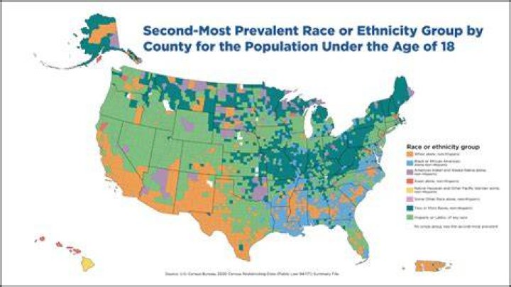 What is the most common ethnicity?