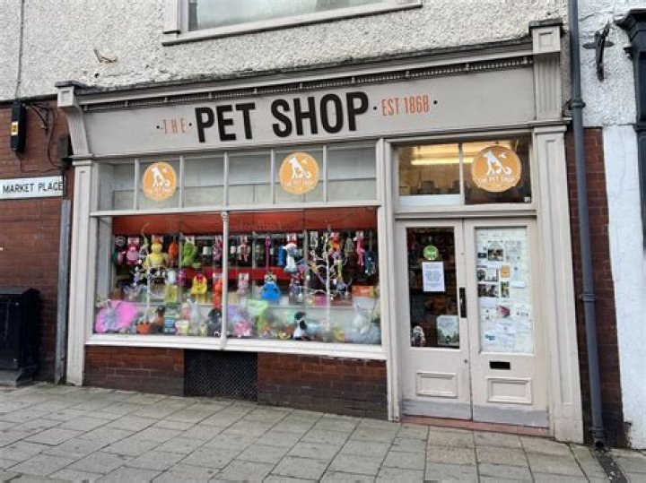 What is the most famous pet store?