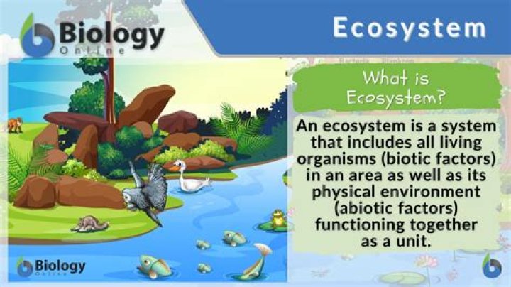 What is the name of one of the most famous ecosystem?
