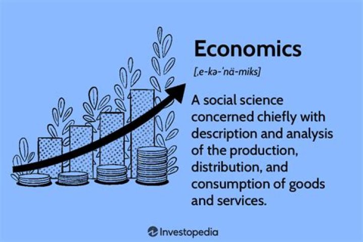 What is the need for economics?