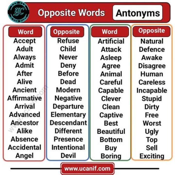 What is the opposite of the word company?