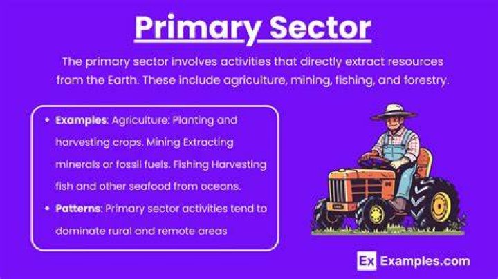 What is the primary sector also called and why?