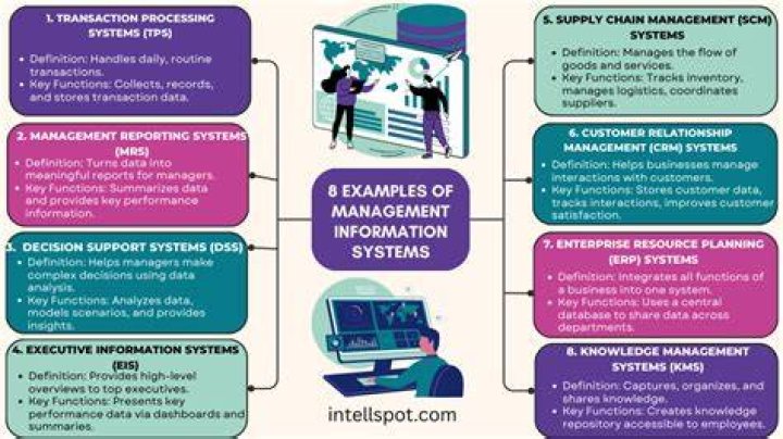 What is the purpose of information systems related to using?