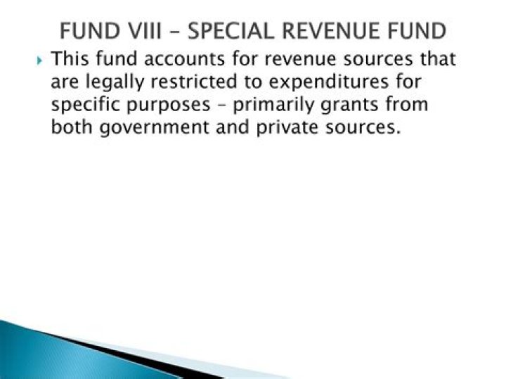What is the purpose of the special revenue fund?