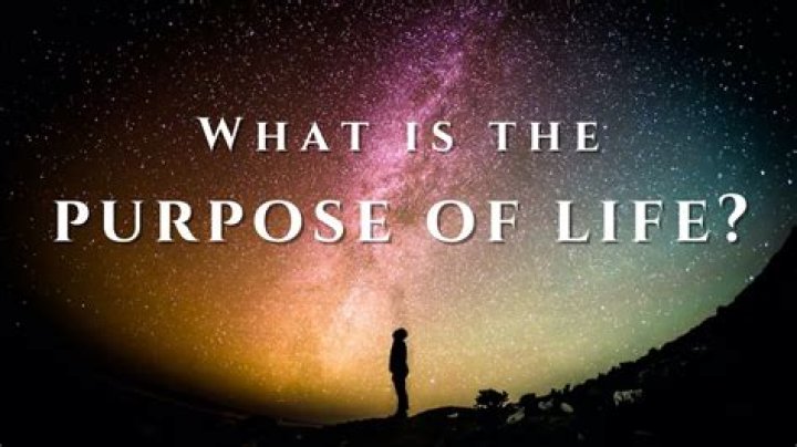 What is the purpose of TV news?