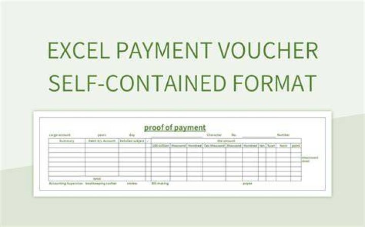 What is the purpose of using a payment voucher in an Organisation?