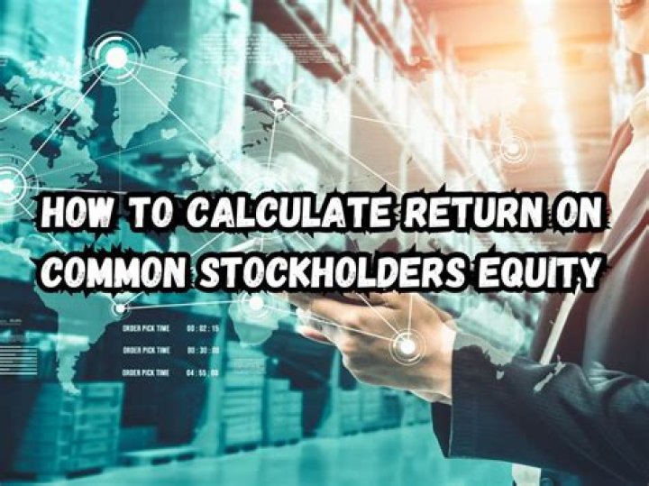 What is the rate earned on common stockholders equity?
