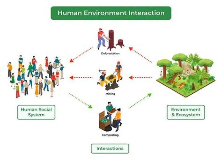 What is the relationship between environment and ethics?
