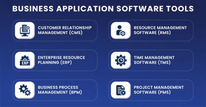 What is the role of application software in business?