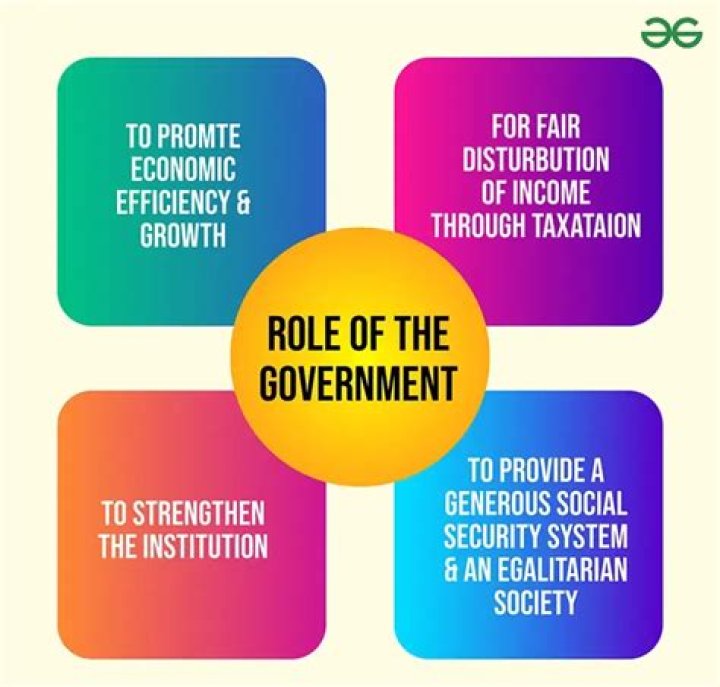 What is the role of government in the business enterprise?