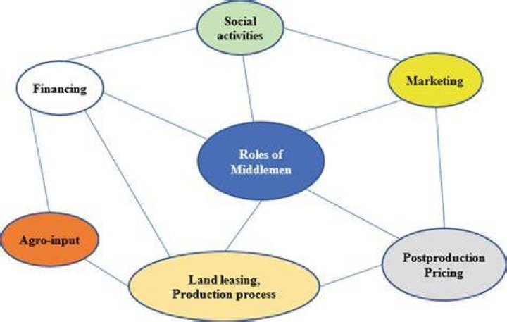What is the role of middlemen in agricultural marketing?