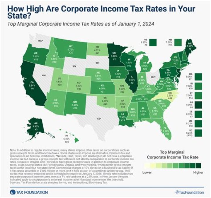 What is the tax rate on shareholder distributions?