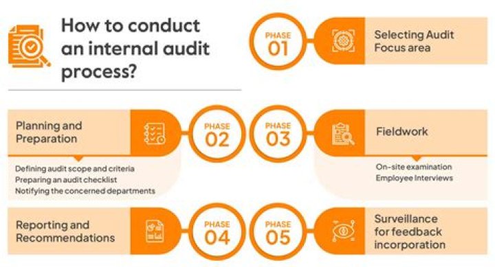 What is the type of internal audit?