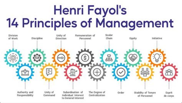 What is theory Y in principles of management?