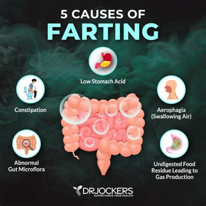 What makes us fart so much?