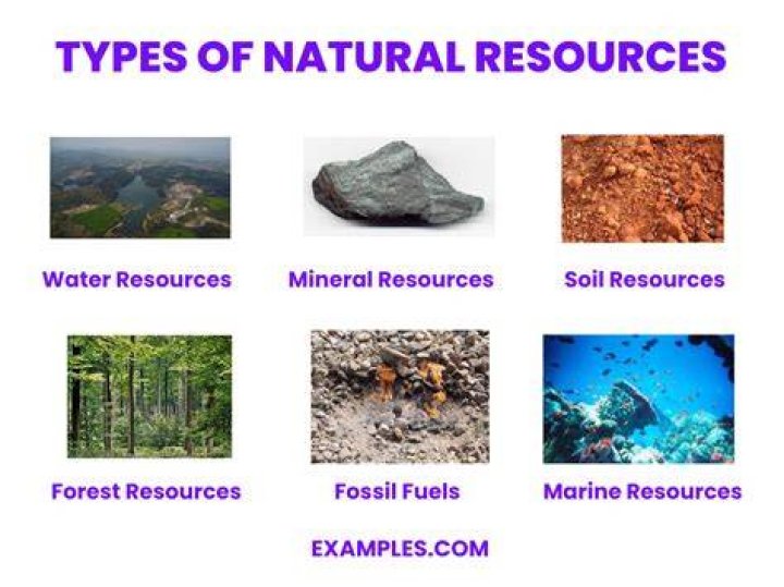What natural resources are available in the Andes Mountains?