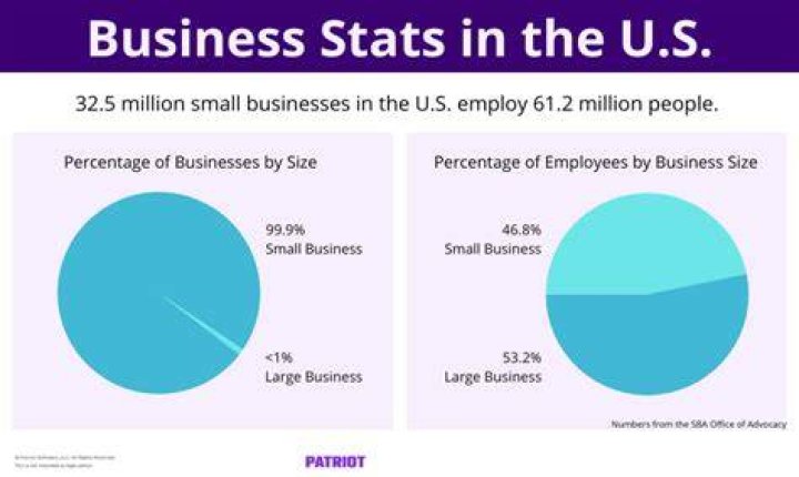 What percentage of businesses in the United States are partnerships?