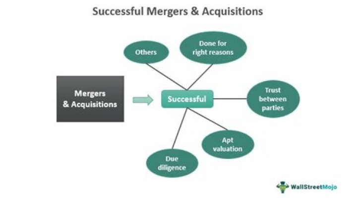 What percentage of mergers are successful?