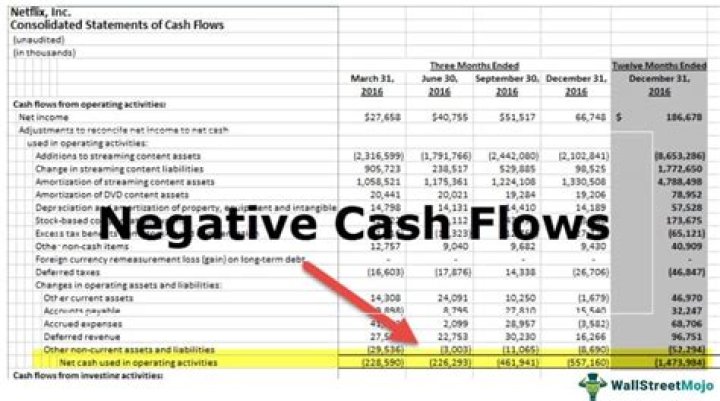What positive or negative cash flow indicates?