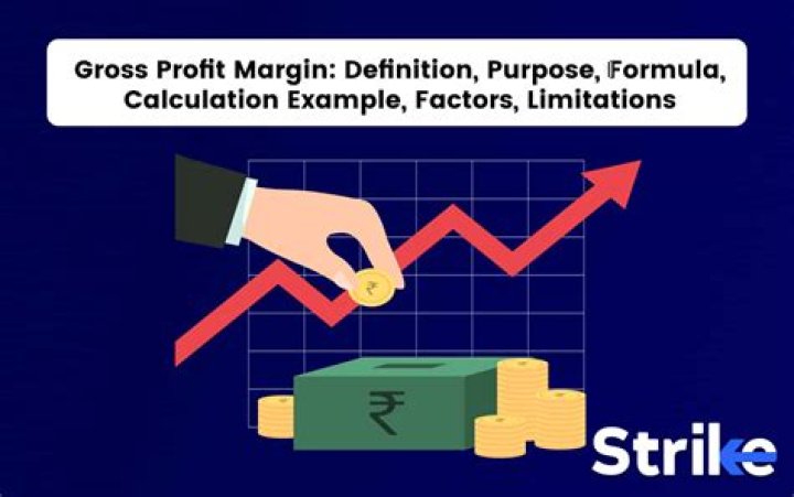 What profit margin ratio tells us?