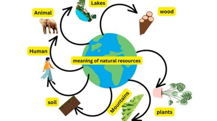 What resources does Fiji need?