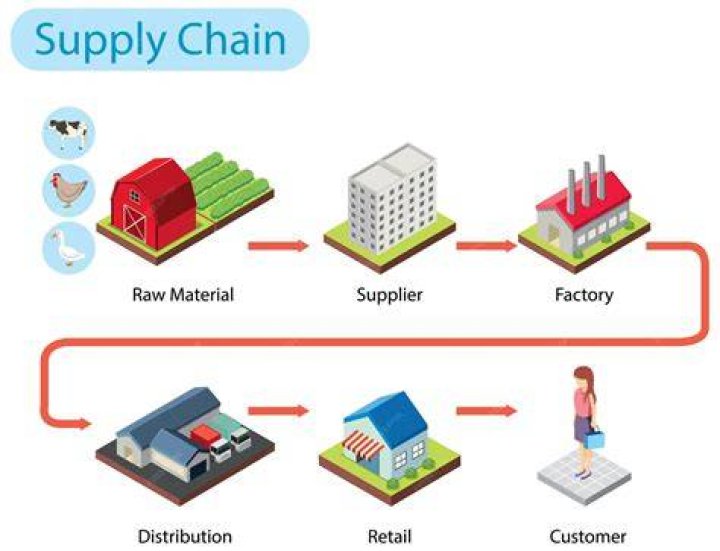 What supply chain processes can ups support for their clients?