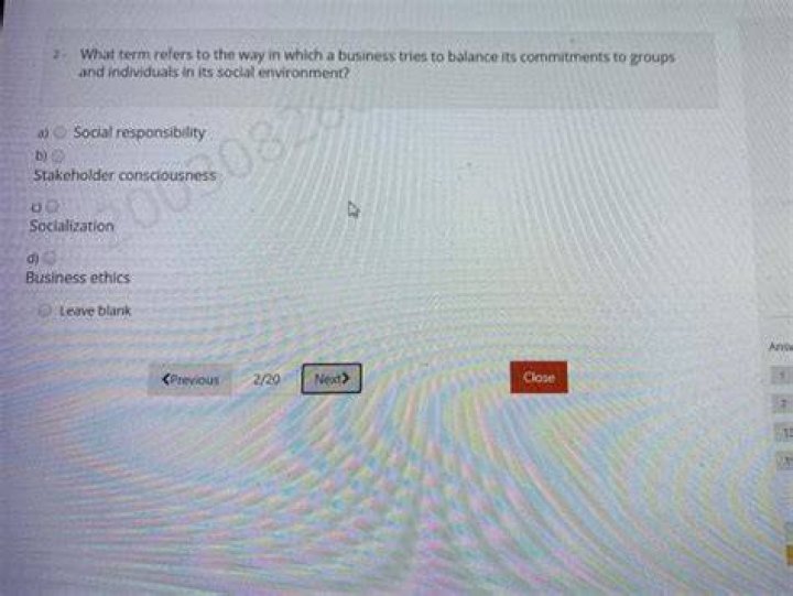 What term refers to the way in which a business tries to balance its commitments to groups and individuals in its social environment?