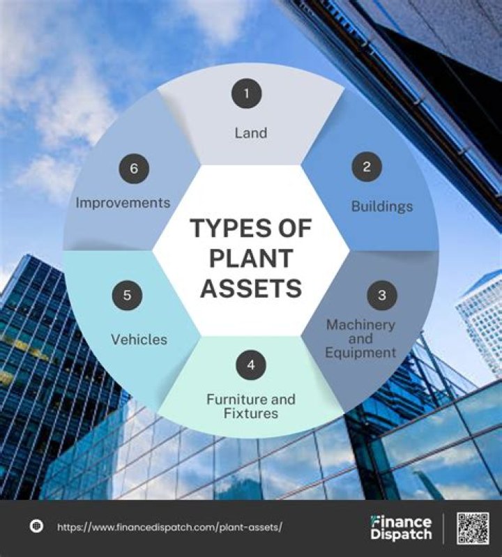 What type of assets are plant assets?