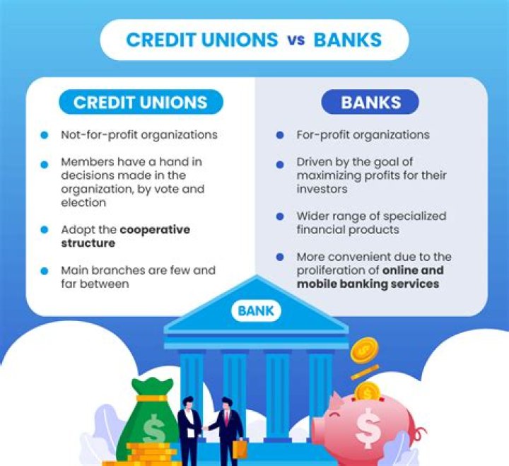 What type of bank is a credit union?