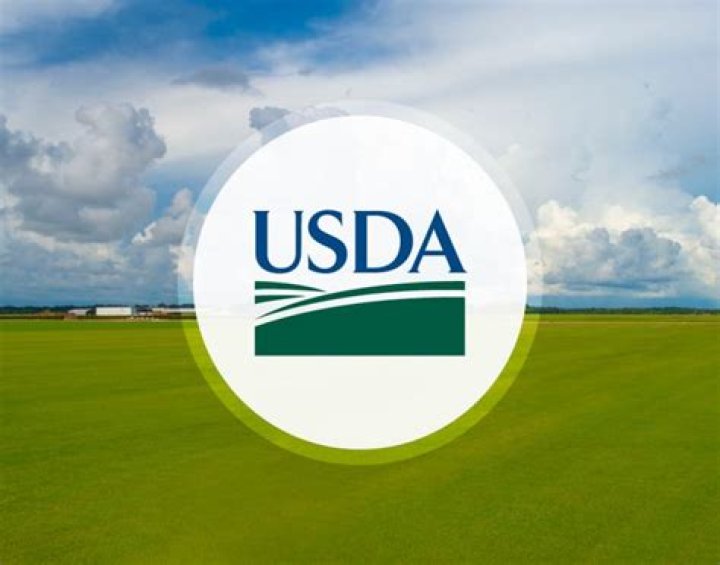 What type of business is USDA?