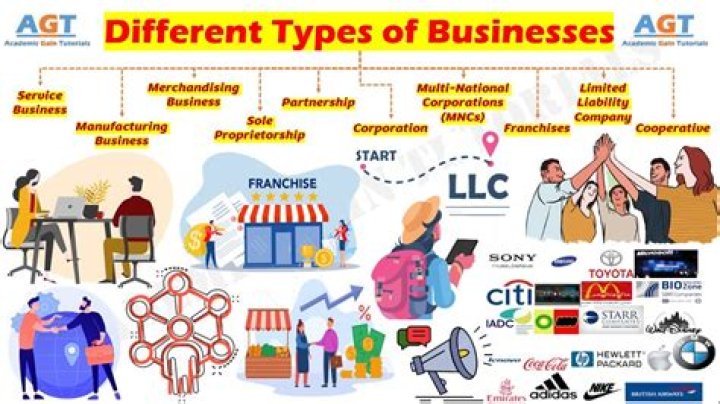 What type of business operates internationally?