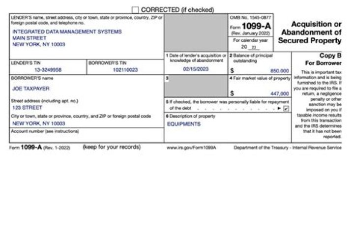 What type of business should receive a 1099?