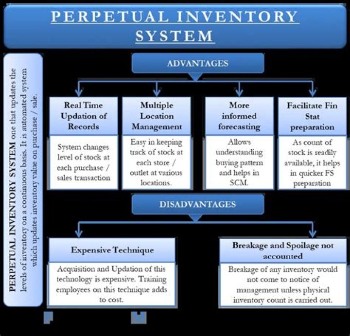What type of business would use a perpetual inventory system?