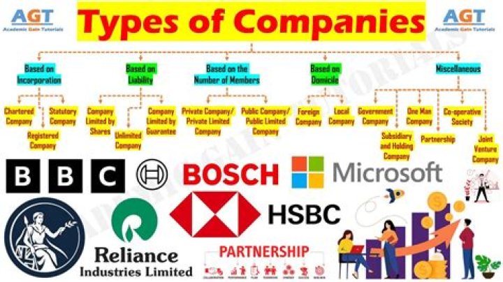 What type of company is Audi?