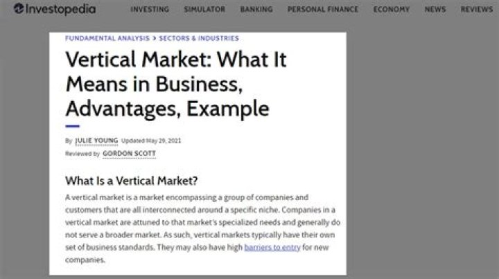 What vertical market means?