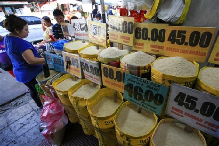 What was the price of rice in 2000?