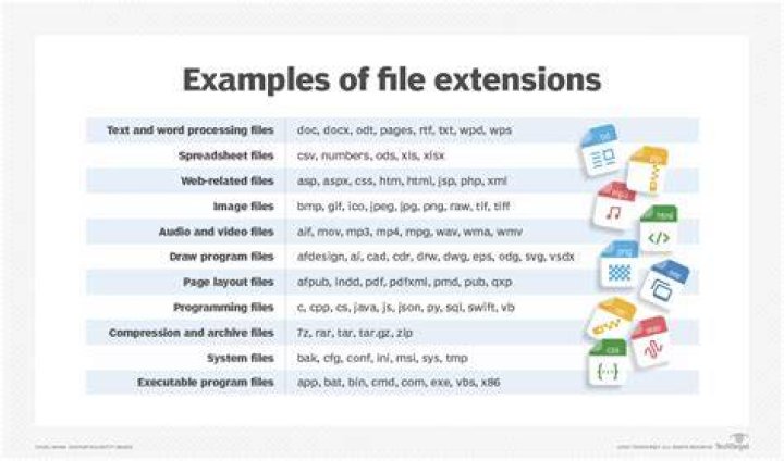 What website extensions are available?