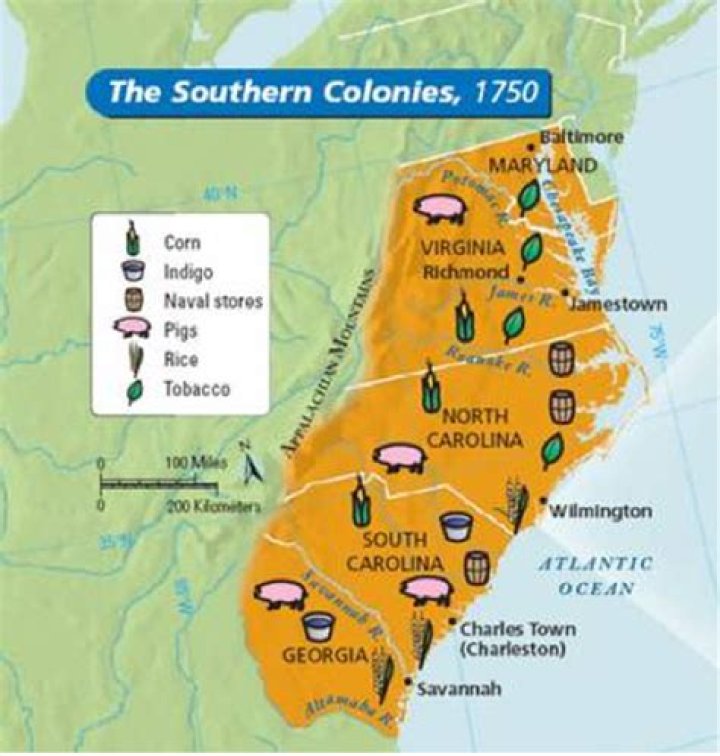 What were the 3 main cash crops in the southern colonies?