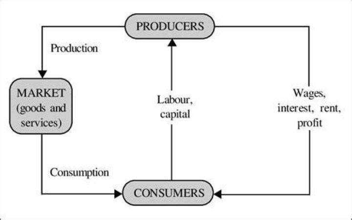 What were the 3 things we need to know for our economic systems?