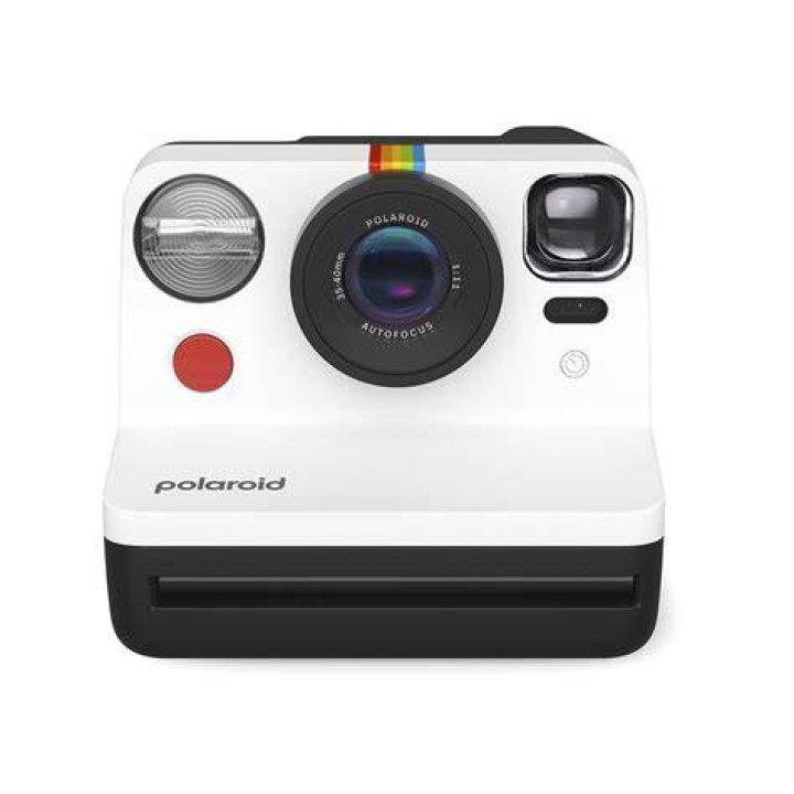 When did Polaroid become a company?