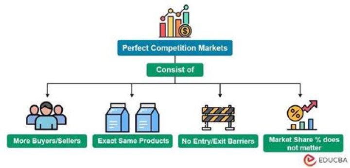 When one company controls an entire industry no competition?