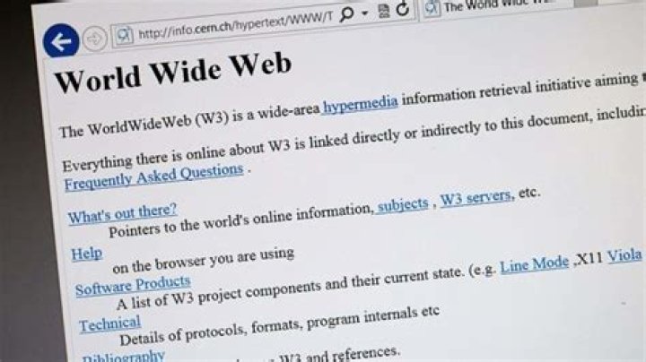 When was the first website released?