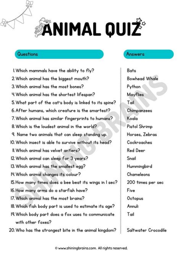 Where can I find answers to assignment questions?