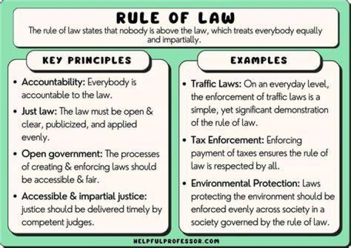 Where did the American ideas of law come from?