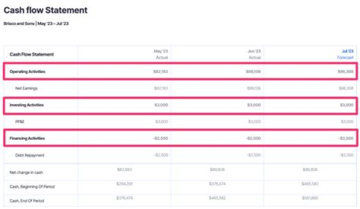 Where do acquisitions go in cash flow statement?
