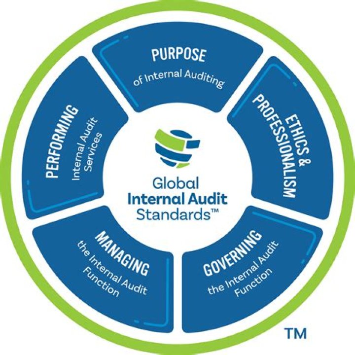 Where do audit standards come from?