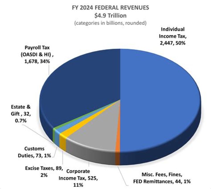Where does the largest portion of federal revenue come from?